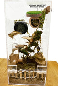 Handmade Natural Walnut Shell Jumping Spider Hide - Magnetic Spider Enclosure Accessories with Sturdy Neodymium Magnets,