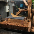 Bearded Dragon Basking Platform, Slate Rocks for Reptiles with Wooden Pile, Leopard Gecko Hides and Caves, Reptile Tank 