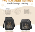 Petsfit Airline Approved Pet Carrier for Small Cats, 16.5x8.6x11 TSA Approved Carrier, with Removable Dual-Sided Padding (2-Way Placement) - Fits Under Most Airplane Seats, Escape Proof (Black)