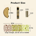 Jumping Spider Enclosure Accessories - 2 Wood Ledges & 4 Climbing Webs
