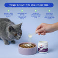 Hip and Joint Supplement for Cats - Glucosamine Powder with Green Lipped Mussel, MSM, Chondroitin, and Vitamin E - 4.23oz/120g