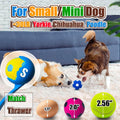 HOLYSTEED Squeaky Dog Toys for Small Dogs, 2.0 Inch Latex Squeak Dog Balls - Soft Bouncy Fetch & Chew Toys for Mini and Small Breeds Like Chihuahua, Yorkie, Poodle, Corgi