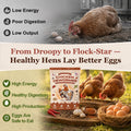 Natural Chicken Dewormer Powder, Chili Mix with Oregano for Poultry Supplement,16OZ