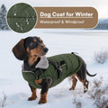 Queenmore Winter Dog Jackets for Medium Dogs with Harness Built-in
