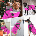 Doglay Dog Coat with Detachable Harness, Fleece Dog Winter Jacket