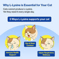 Doctor By FELYSIN L-Lysine for Cats Lickable Immune Support Supplement Allergy Relief, Sneezing, Runny Nose, Cold, Watery Eyes Respiratory Health with Beta-Glucan & Taurine – 30 Individually Packaged