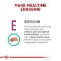 ROYAL CANIN Veterinary Diet Feline Renal Support E Adult Loaf in Sauce Cat Food, 5.1 oz (Pack of 6)