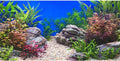 AWERT 30x18 in Aquatic Plant Fish Tank Background Stone Aquarium Backdrop