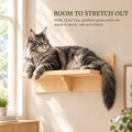 Cat Wall Shelves, 2-Piece Cat Wall Step for Large Cats