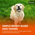 Vetoquinol Epakitin Chitosin-Based Phosphate Binder for Cats & Dogs – Renal Support Supplement Powder - 180g
