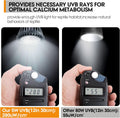 Premium High-Intensity UVB Reptile Light for Optimal Calcium Metabolism,5-Watt 10.0 Desert UVB Light Ideal for Desert-Dw