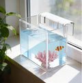 Hatchery Incubator Tank for Fish & Corals, Drip Acclimation Container