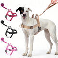 Annchwool No Pull Dog Harness with Front Clip and Easy Control Handle-Belly & Chest Adjustable Dog Harness and Leash Set for Medium Large Dogs-Heavy Duty Vest Harnesses Easy for Walking(Brown,M)