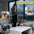 Transparent Dog Rain Poncho for Small Medium Dogs - Thick Waterproof Raincoat with Hidden Leash Hole & Adjustable Snaps,