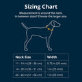 Ruffwear, Chain Reaction Martingale Dog Collar