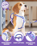DF Freedom No Pull Martingale Dog Harness, Gentle Control for No Choking, Front Clip Harness with Reflective, Adjustable