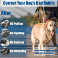 No Pull Dog Training Collar with Quick-Release Buckle for Dog,14-18" Neck-S