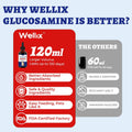 Wellix 4 oz (120 ml) Joint Supplement for Dogs & Cats, Hip & Joint Supplements with Glucosamine Chondroitin MSM, Turmeric Drops, Dogs & Cats Universal Formula, Mobility & Flexibility & Hip Support