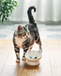 Raised Cat Food Bowl Ceramic 15° Tilted Cat Food Bowls Protect Cat's Spine Anti Vomiting Backflow Prevention Bowls for Adult Kitty, Kitten, and Small Dogs, Pink