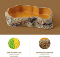 Reptile Food Water Bowl, Mini Resin Rock Feeding Dish for Bearded Dragon
