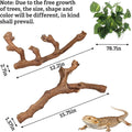 VCEPJH Snake Climbing Branch, 2Pcs Reptile Wood Natural Cork Log and Cork Bark for Reptiles, 4 Pcs Natural Cork Flats fo