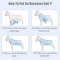 FEimaX Dog Surgery Recovery Suit Female and Male Pet Body Suits for Puppy