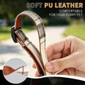 Dachshund Collar with Detachable Bow Tie