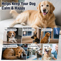 Calming Chews for Dogs 200ct Anxiety and Stress Relief Melatonin Chicken