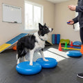 Shappy 2 Pcs Dog Balance Disc Cushion 14"