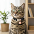 10Pcs Small Bells for Dog Collar, 1/2 Inch Pet Bells for Small Dogs And Cats for Puppy Collars Stainless Steel Anti-Lost