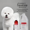 iGroom Magic Boost Dog Scissoring Spray, Luxury Pet Beauty Care, Adds Volume, Restores Natural Body, Made in USA, 8 oz
