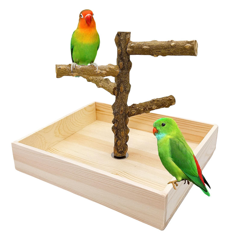 Hamiledyi Bird Perch Stand Playground Parrot Playground Tabletop Natural Wooden Perch PlayStand Platform Toys for Parrots Parakeets Lovebirds Canaries Cockatiels Conure
