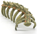 relaqcc Aquarium Skull Animal Skeletons, Reptile Tank Accessories, Fish Tank Decorations for Amphibians, Betta Fish, Shr