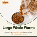 Adaman Dried Mealworms -10 LBS- 100% Natural Non GMO High Protein Mealworms - Bulk Meal Worms for Chickens & Birds, Ducks - Best Chicken Treats, Bird Food, Turtle Food