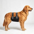 Dog Diapers Male, Washable Male Dog Belly Band with Dual Minimalist Narrow Straps, Pee Wraps for Doggie in Incontinence 