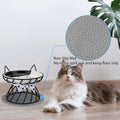 TRUNDISAN Elevated Cat Food Dish, Ceramic, Non-Slip Stand, Raised Feeding Station, 5 in, Shallow for Whiskers, Dishwasher Safe