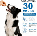 Dewormer for Dogs, Oral Treatment of Tapeworm, Roundworm & Hookworm in Medium and Large Dogs (Over 25 lbs). Worm Remover