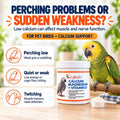 UnRuffledRx™ Bird Calcium Plus with Magnesium and D3, Dissolves Clear and Tasteless in Water, Supports Bone, Muscle, Feather and Egg Health, 45 Servings, Made in FDA-Registered USA Facility