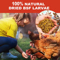 GOLDWORMS 10LB Dried Black Soldier Fly Larvae, 85X More Calcium Chicken Feed Than Mealworms, 100% Natural Non-GMO BSF, Treat for Chickens, Ducks, Laying Hens, Birds