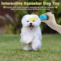 Magicorange 10 Pack Squeaky Mini Tennis Balls, 1.5 inch Small Dog Ball