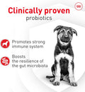 Royal Canin Probiotics for Dogs Digestive and Immune Health Powder Supplement for Dogs of All Ages, 30 Count