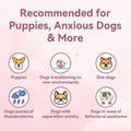 Moropaky Heartbeat Puppy Toy Dog Heartbeat Toy for Anxiety Relief and Calming Aid, Heartbeat Stuffed Animal for Comfort 
