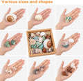 21PCS Hermit Crab Shells 1.3"-3.2", Growth Turbo Seashells