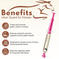 Omeprazole Oral Paste for Horses – Prevent Gastric Ulcers in Horses, Guard Stomach Health for Training, Racing, Showing,