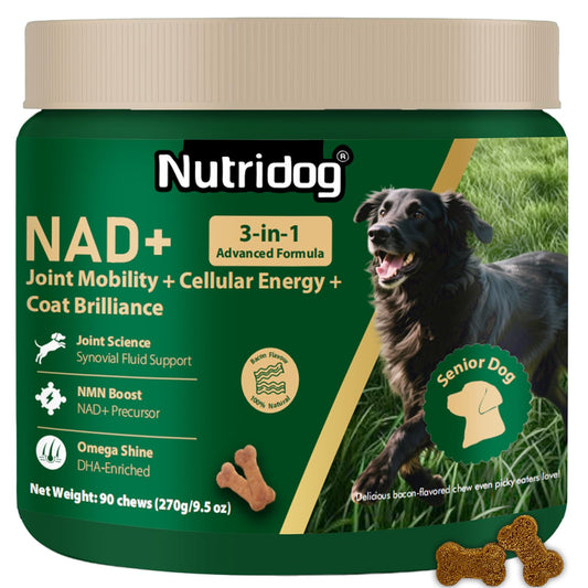 Nutridog NMN Supplement for Dogs NAD+ Booster - Anti-Aging & Longevity Soft Chews for Senior Dogs with Resveratrol, CoQ10, Glucosamine & Omega-3-3-in-1 Cellular Energy, Joint & Skin Support