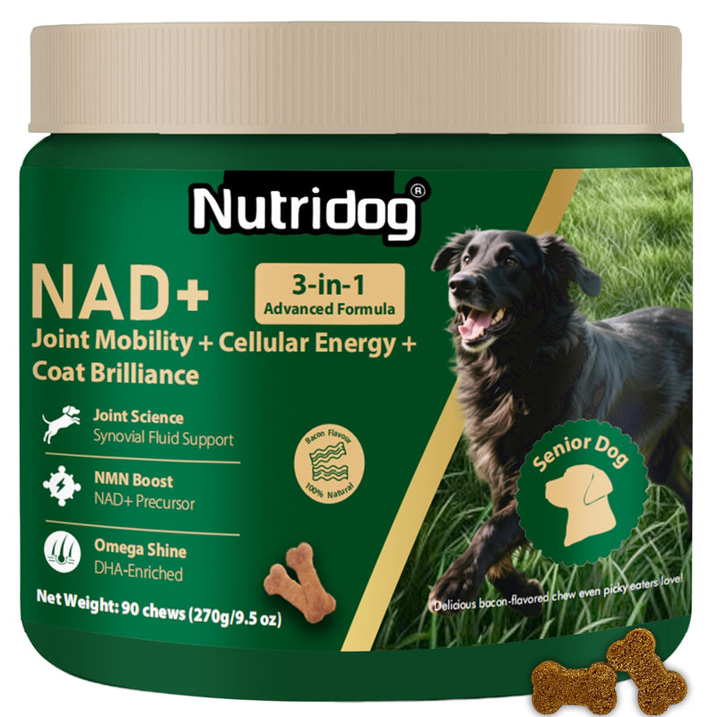 Nutridog NMN Supplement for Dogs NAD+ Booster - Anti-Aging & Longevity Soft Chews for Senior Dogs with Resveratrol, CoQ10, Glucosamine & Omega-3-3-in-1 Cellular Energy, Joint & Skin Support