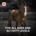 Purina | RepleniMash™ Product | for Horse Recovery | 25 Pound (25 LB)
