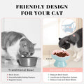 S&Q's CERAMICS Raised Slow Feeder Cat Bowl, Ceramic Elevated and Titled Glass Food Bowl Small Dogs Slow Feeder, Flower S