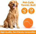 Sunraymascota 6-Pack Tennis Balls for Dogs Fetch Toys,for Beginner Practice