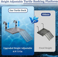 Hanging Turtle Basking Platform with Food Tray and Ramp